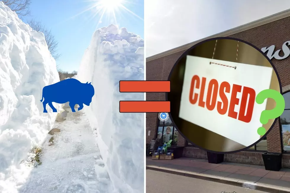 You Know a Snow Storm is Bad if These 15 Places Close in Buffalo