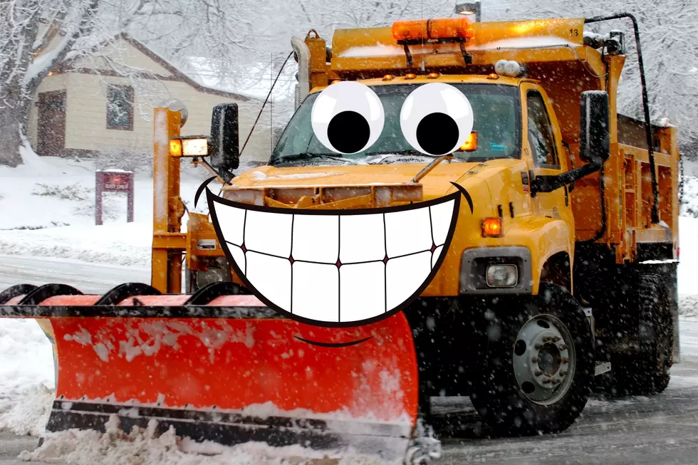 Buffalo Snow Plows Get 40 Amazing Names