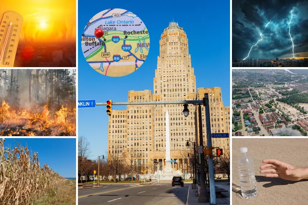Why Everyone Will Be Moving to Buffalo, New York