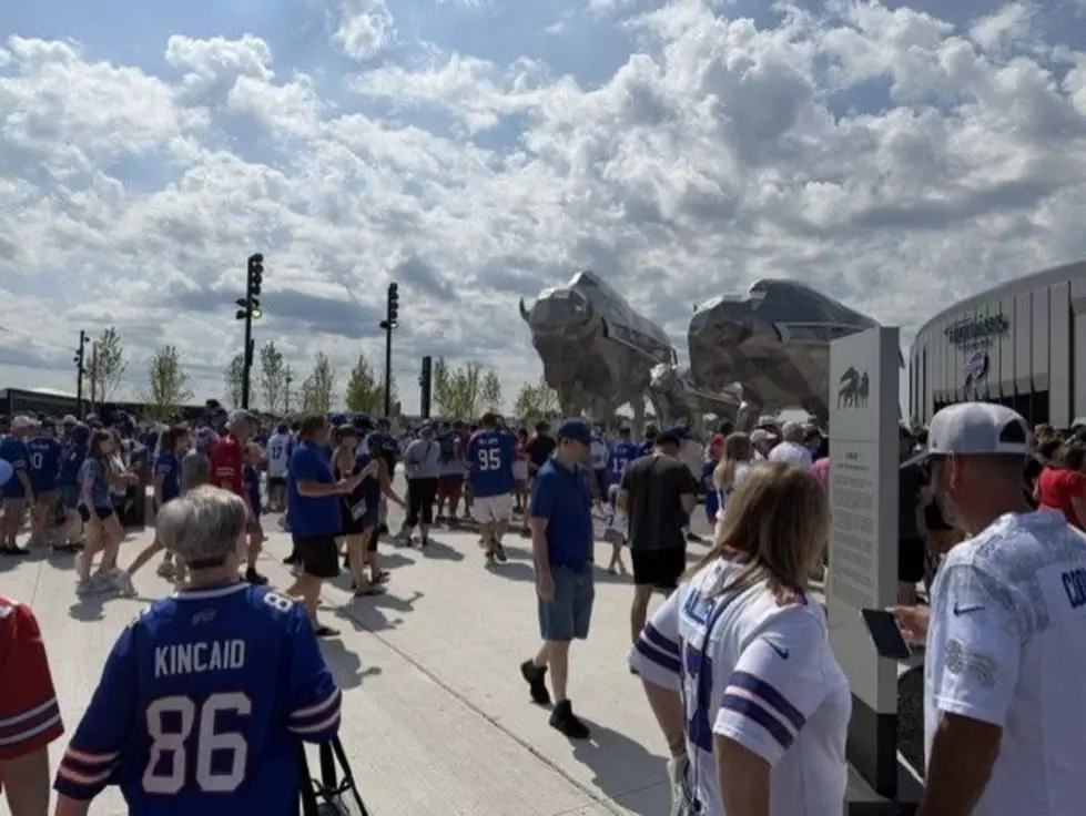 Bills Mafia Named Best Fan Base In The NFL
