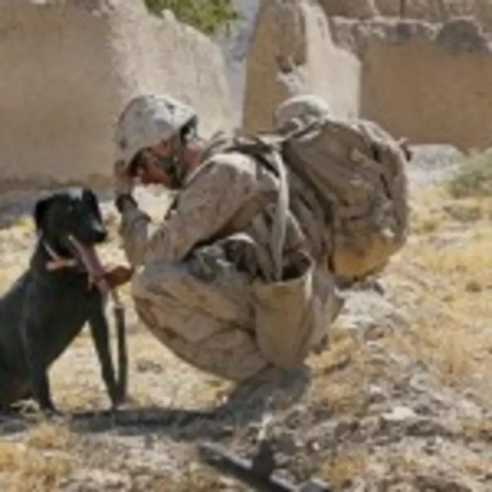 Every &#8220;Like&#8221; Brings a Soldier One-Step Closer to a Life-Altering Companion Dog