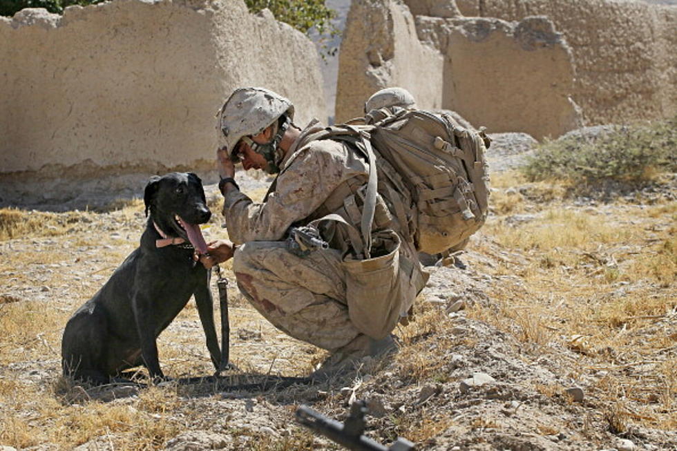 Every “Like” Brings a Soldier One-Step Closer to a Life-Altering Companion Dog