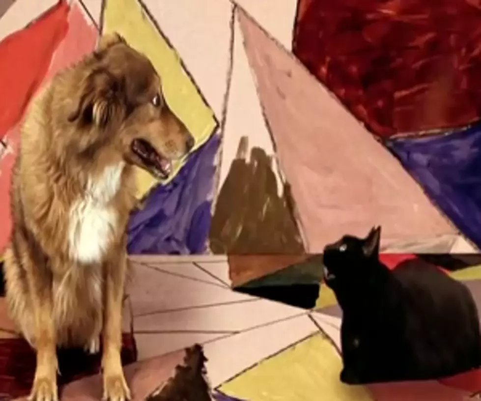 Viral Video: Some Doggy That I Used to Know [VIDEO]