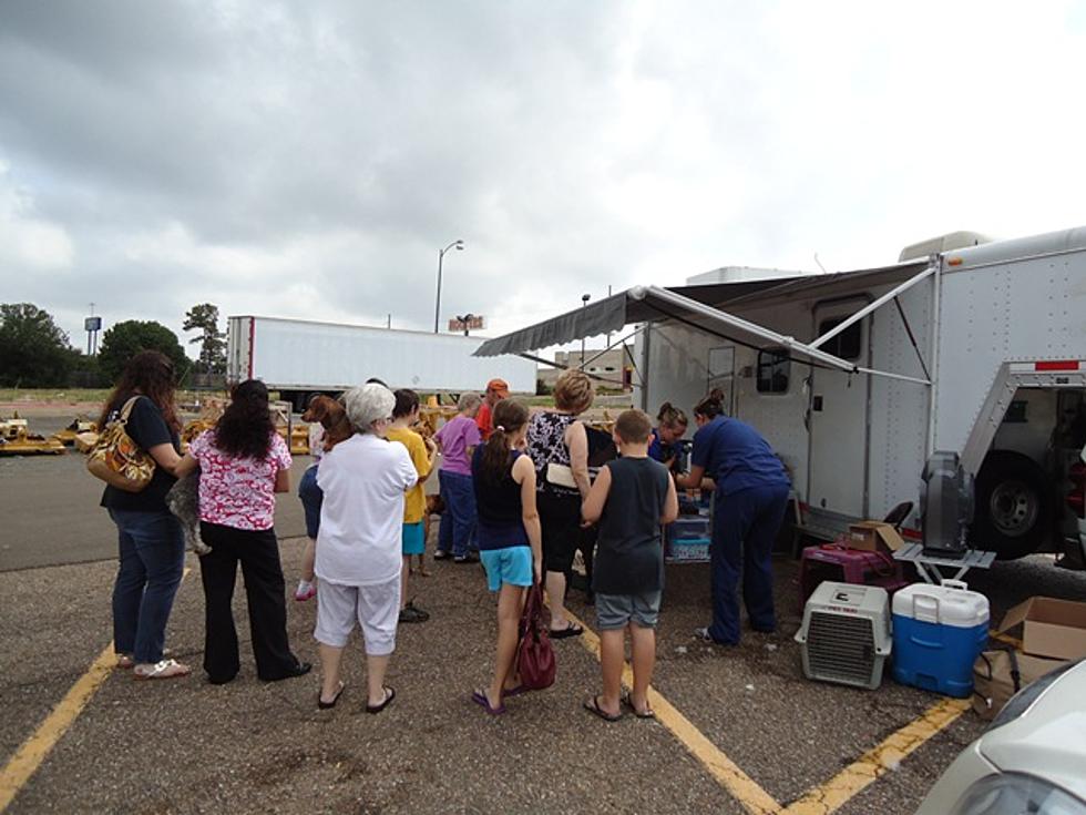 Low Cost Spay/Neuter and Vaccination Clinic in Texarkana on Tuesday