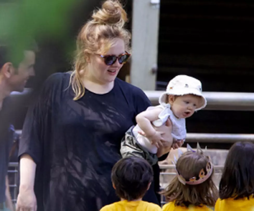 Adele Finally Receives Her Diamond Award for 21, Shows Off Son at Zoo