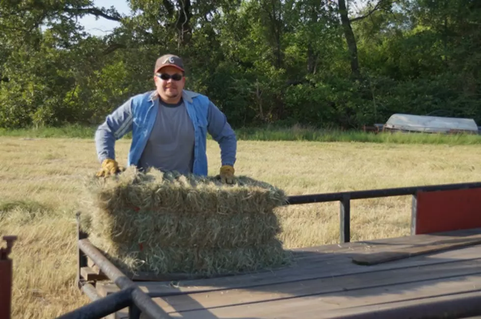 Hay Hauling — A Dirty Job But Someone Has To Do It