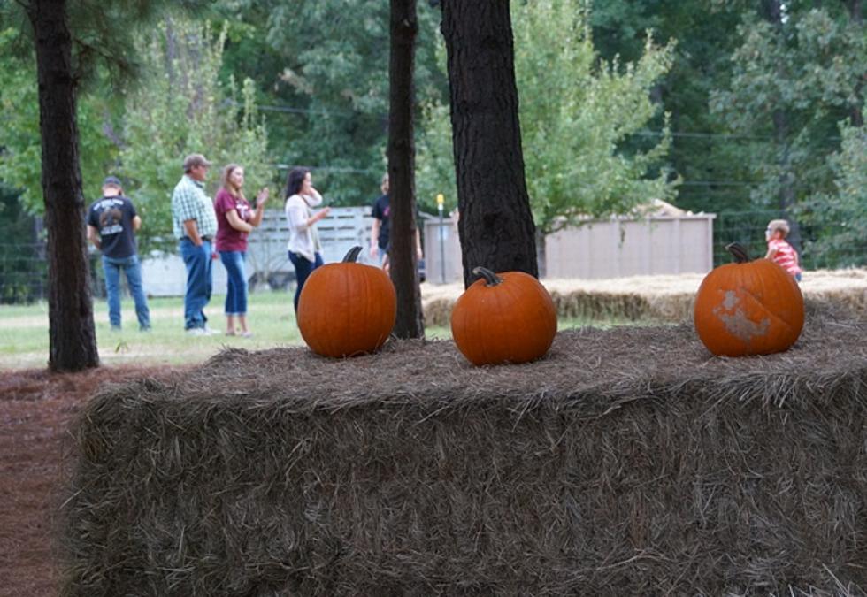 Fall Festival Weekend at Noble Oaks Farm in Texarkana