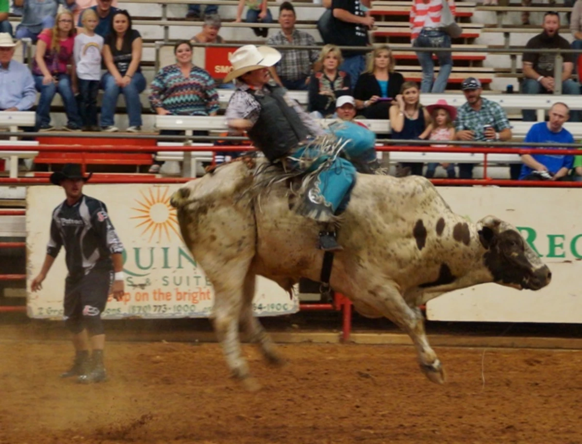 Bronc and Bull Riding at the First Night of the Rodeo