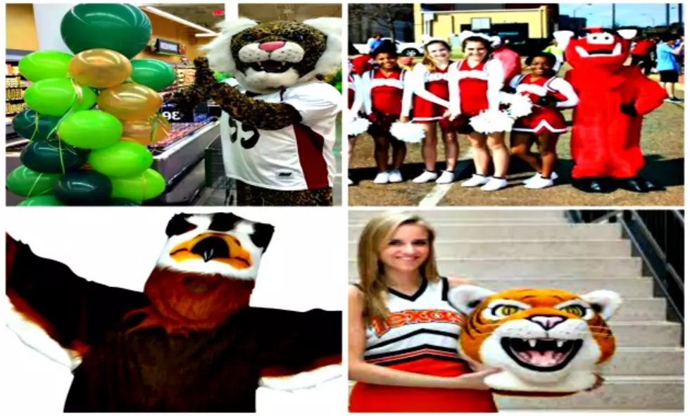 Which Texarkana High School Has The Best Mascot?