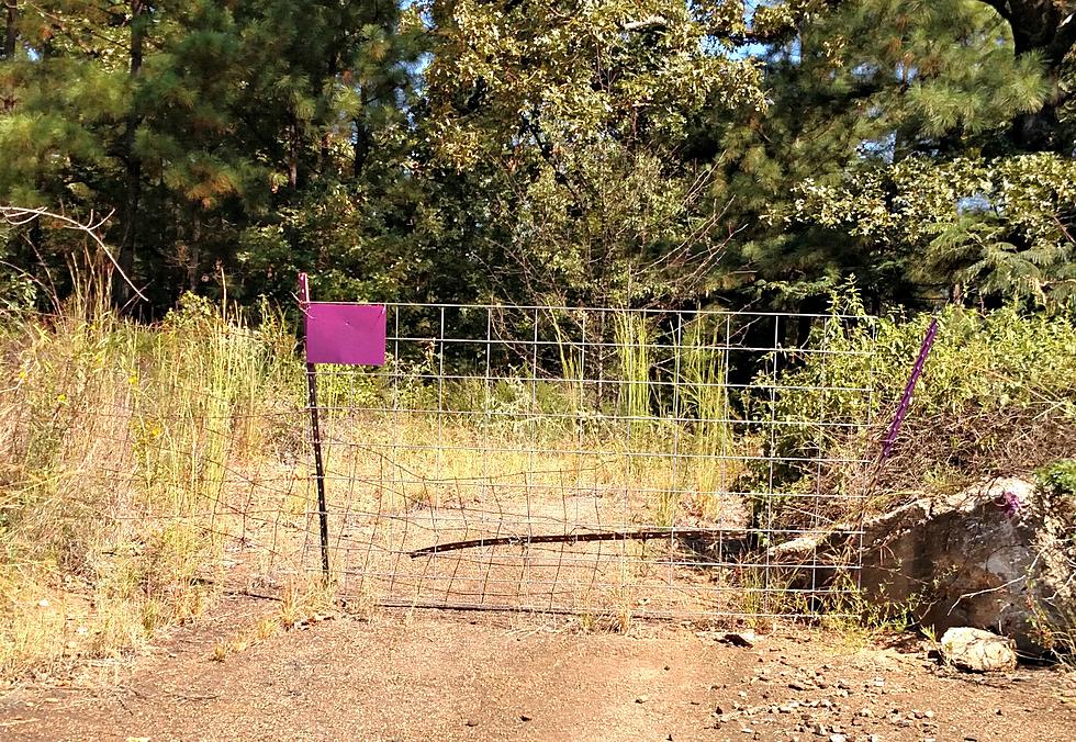 What Does Purple Paint On A Fence Mean?