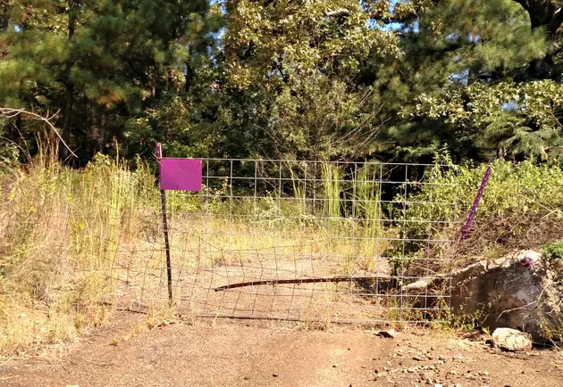 Why Do You See Purple Paint On Fences In Texarkana?