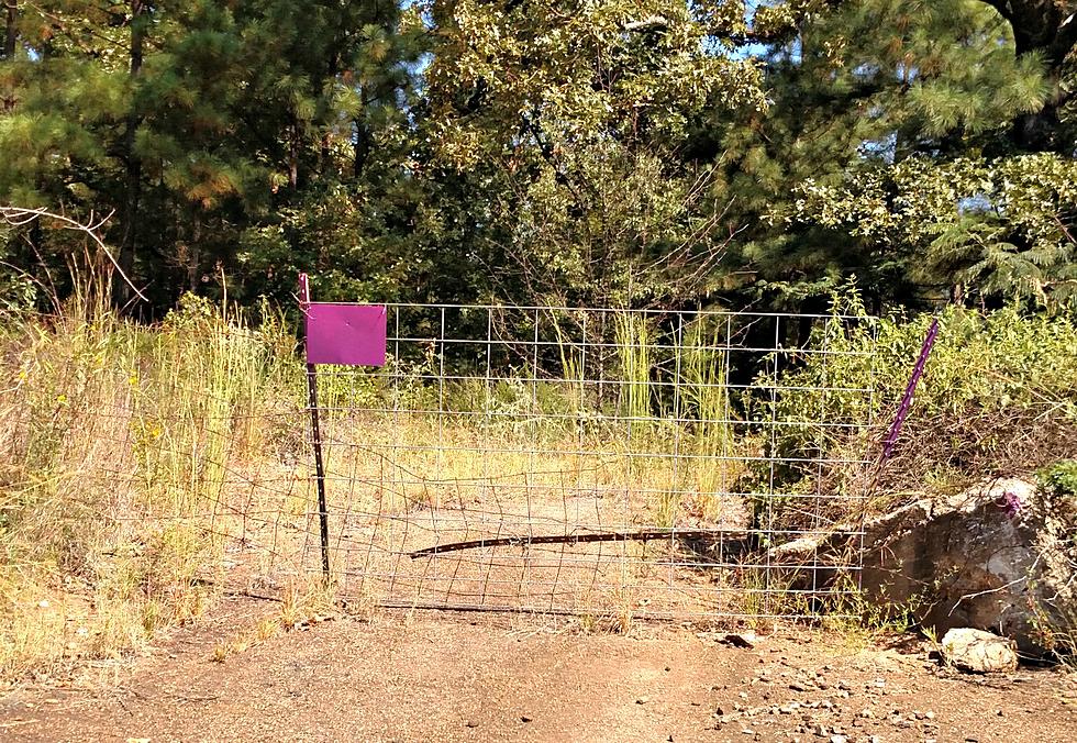 Why Do You See Purple Paint On Fences In Texarkana?