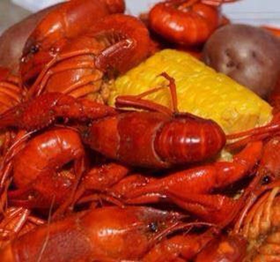 Crawfish Season 2017