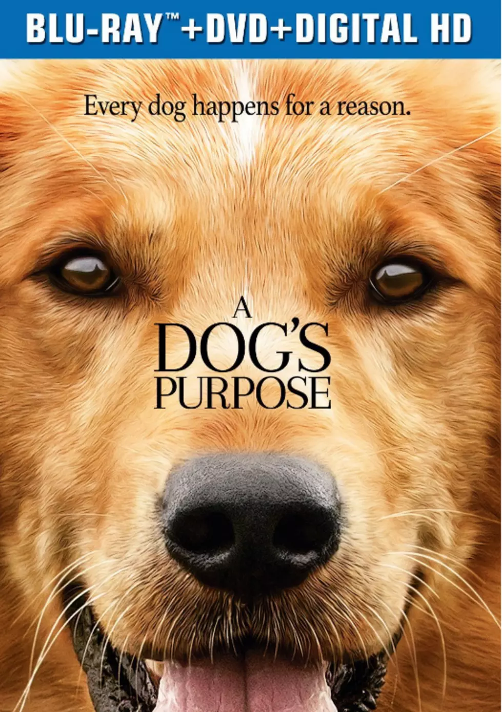 Mimi&#8217;s Review of the Movie &#8216;A Dog&#8217;s Purpose&#8217; &#8212; No Spoilers Here [OPINION]