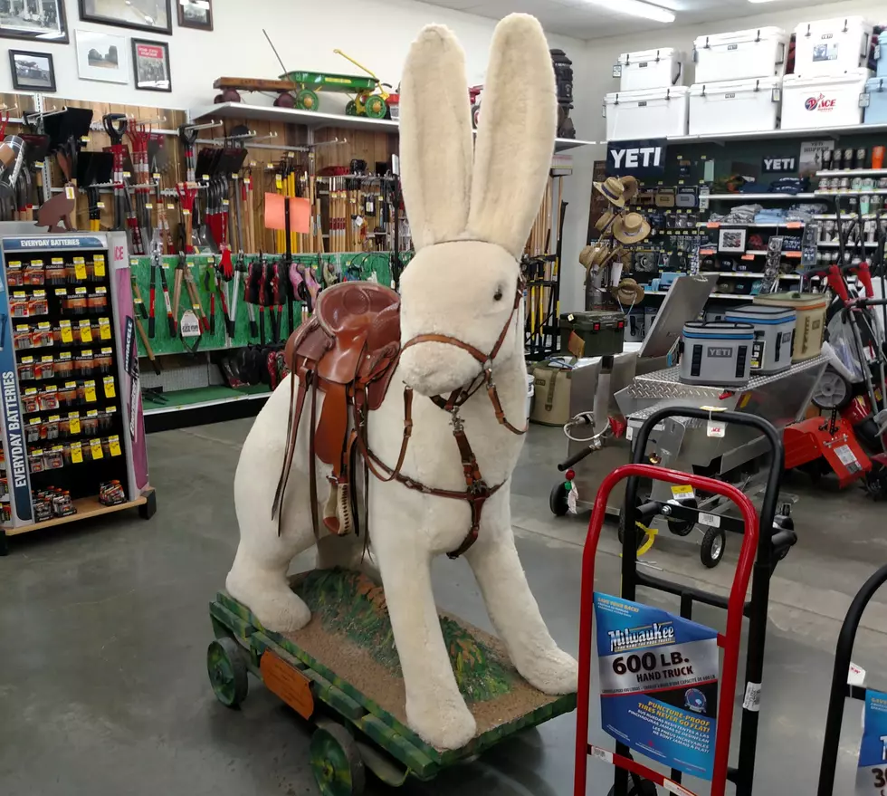 Do You Remember Texarkana’s Lost Landmarks? The ‘Giant Rabbit’