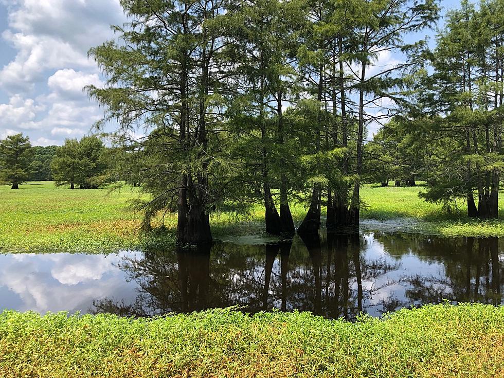 Hidden Gem Park Near Texarkana Has Camping, And  A Shooting 