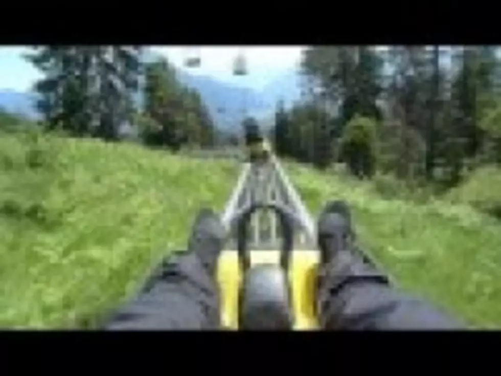Who Would&#8217;nt Want To Ride This Alpine Coaster[VIDEO]