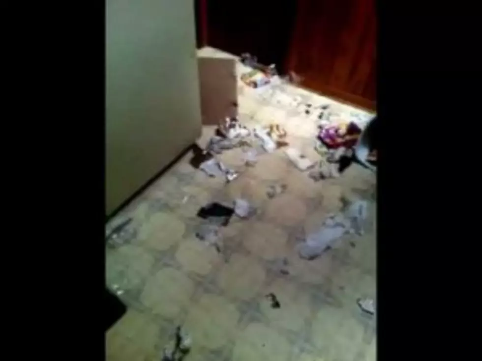 Dogs Will Be Dogs &#8211; Guilty or Not! [VIDEO]