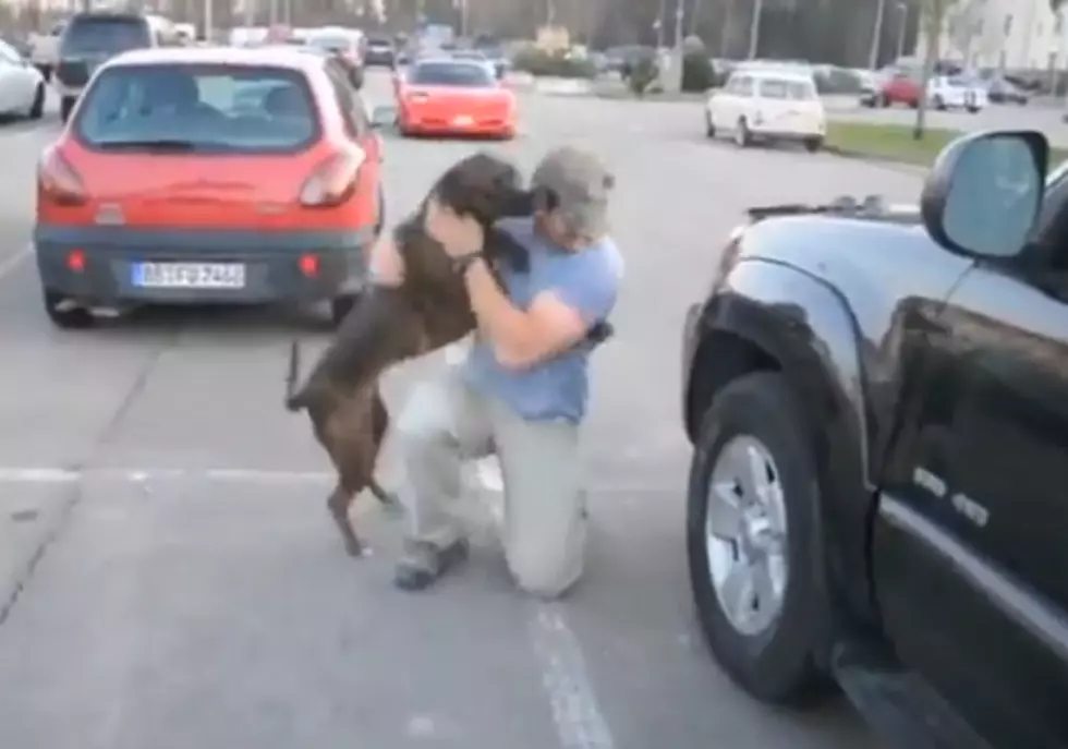 Most Excited Dog Ever Welcomes Daddy Home [VIDEO]