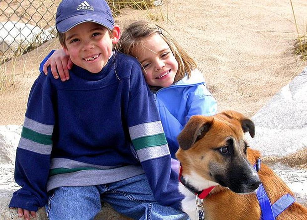 Do Pets Make Kids Smarter?