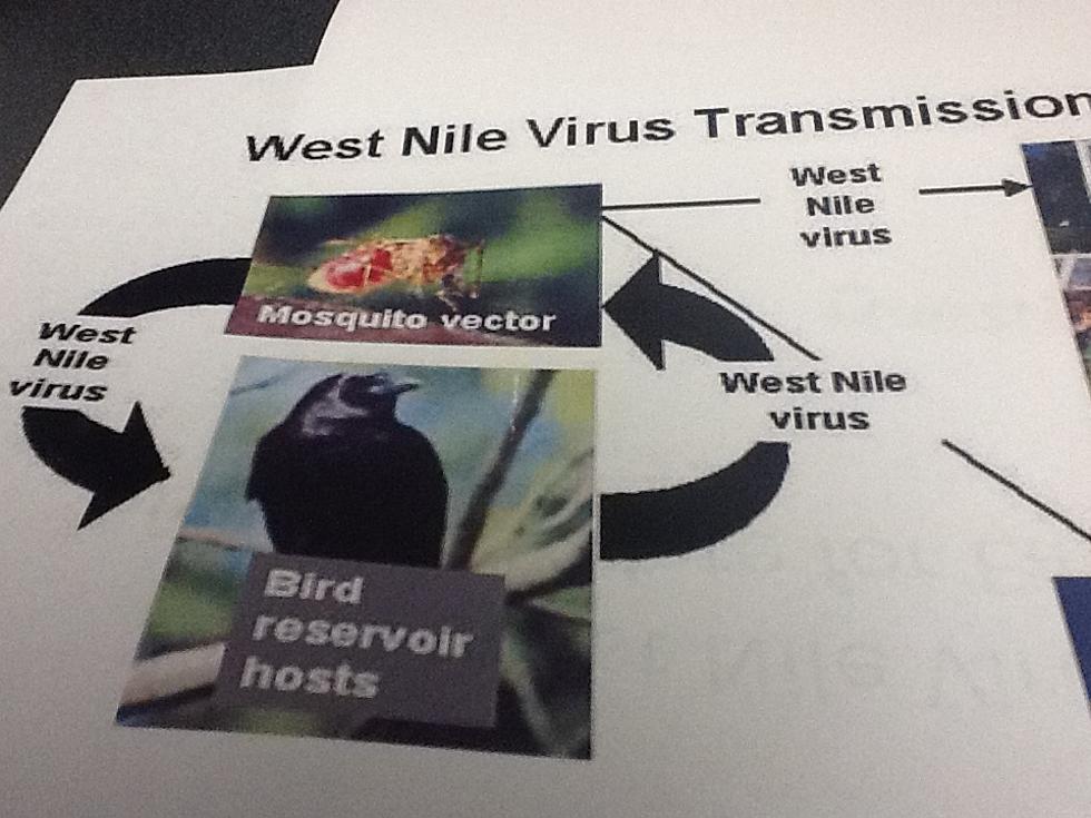 Texarkana West Nile Death; Other Cases Reported