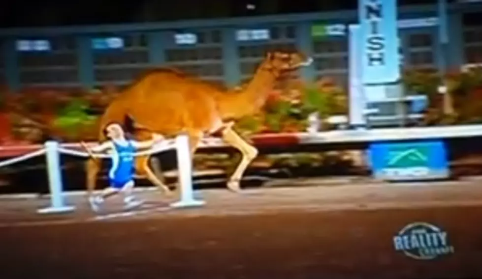 Race Between Four Little People and a Camel [VIDEO]
