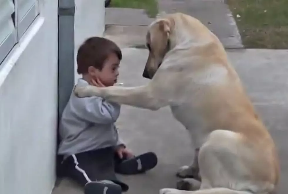 Becoming Friends &#8211; Boy with Down Syndrome and a Dog Playing Will Melt Your Heart [VIDEO]