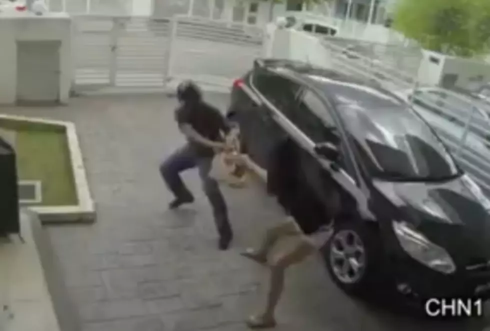 Purse Snatcher Gets Huge Surprise When His Intended Victim Beats Him Down [VIDEO]