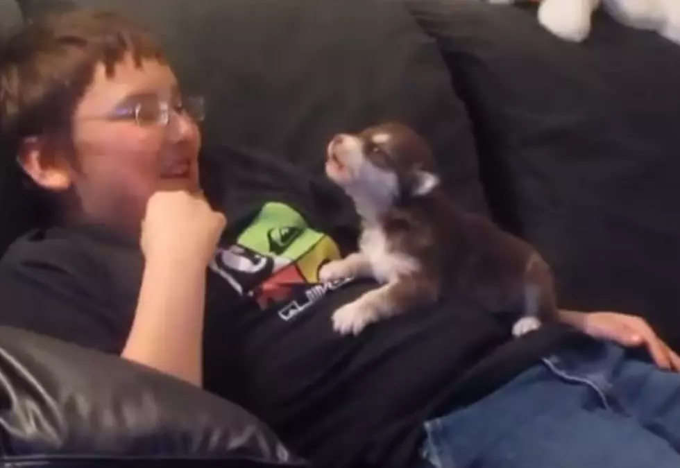 Puppy&#8217;s First Howl &#8211; Too Cute [VIDEO]