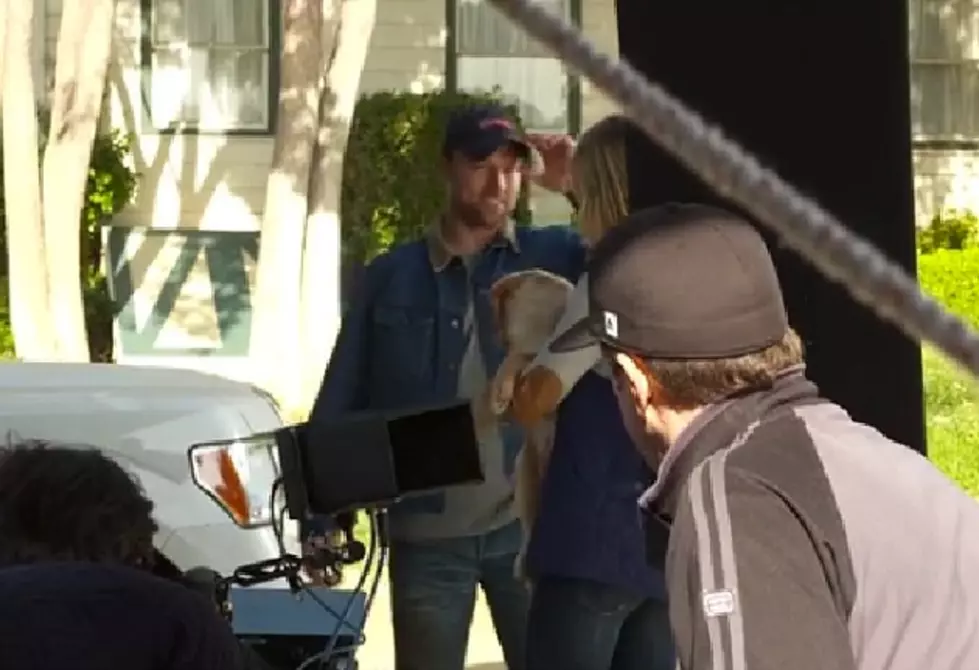 Behind the Scenes &#8211; Meet the Cast of the 2014 Budweiser &#8216;Puppy&#8217; Super Bowl Ad [VIDEO]