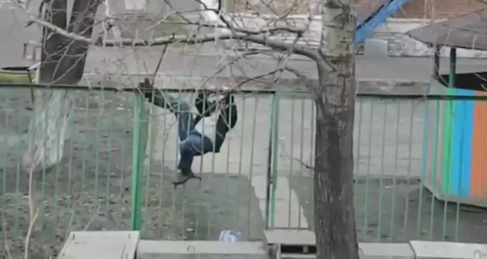 Drunk Russian Has Tough Time Getting Past Fence [VIDEO]