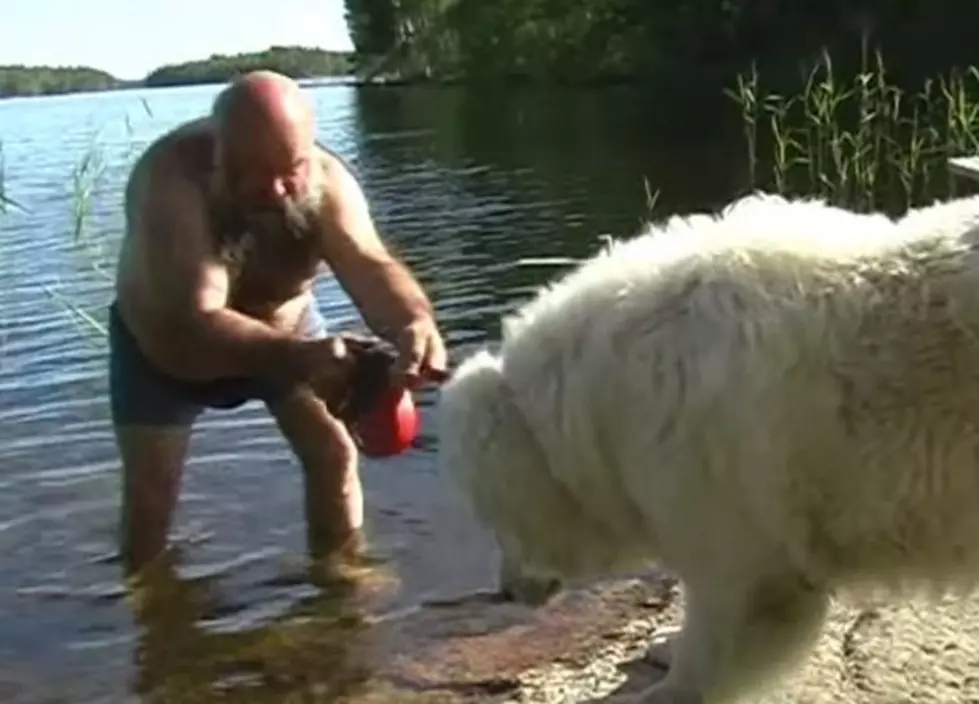 How to ‘Try’ to Give a 200 Pound Dog a Bath [VIDEO]