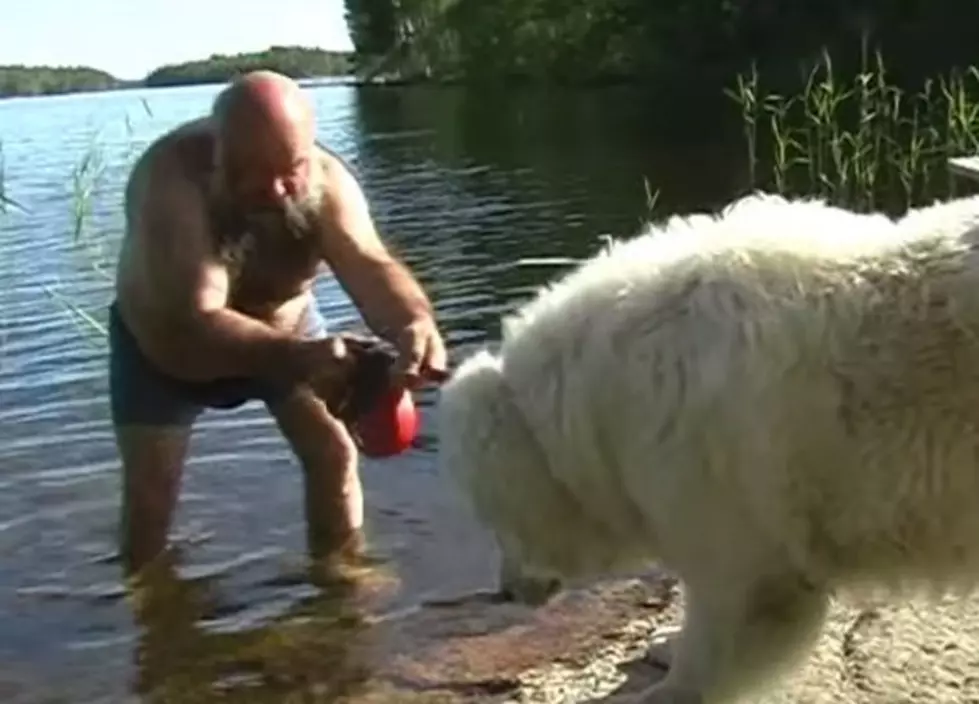 How to &#8216;Try&#8217; to Give a 200 Pound Dog a Bath [VIDEO]