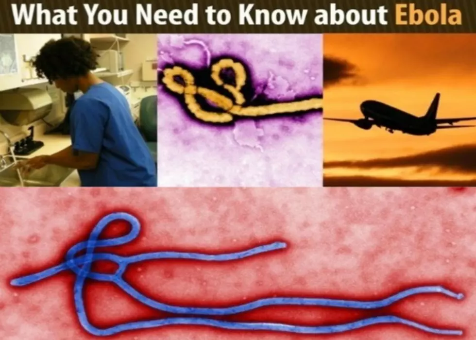 What You Need to Know About Ebola