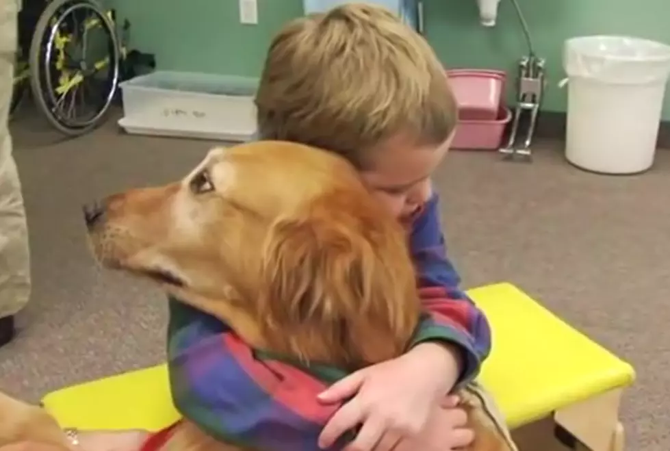 Therapy Dog Aids in Miraculous Recovery of Little Boy [VIDEO]
