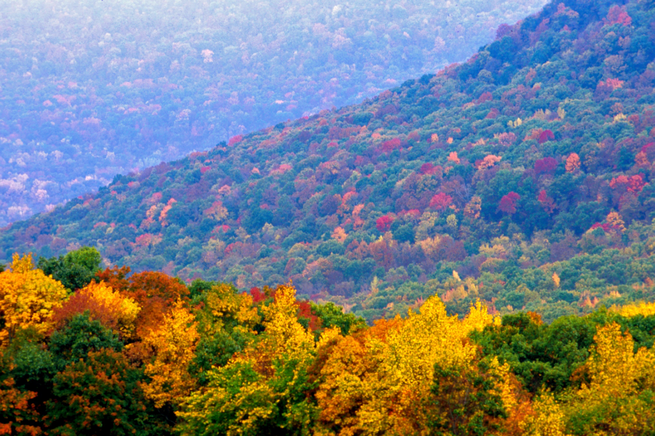fall foliage road trip arkansas
