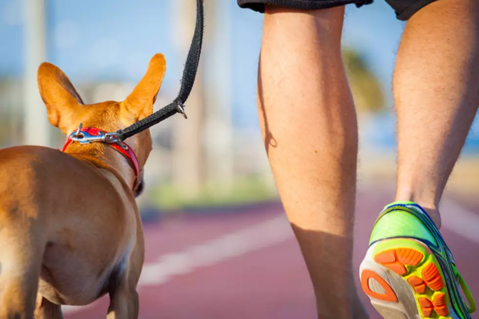Annual Six Leg Fun Run And 5K To Benefit Animal Care and Adoption Center of Texarkana