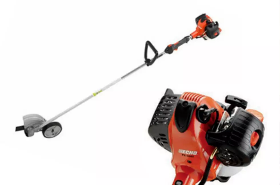 It's Auction Time at Seize The Deal - Bid on This Echo Edger 
