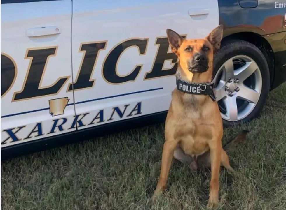 Texarkana K9 Officer Kashko to Receive Special Protective Vest