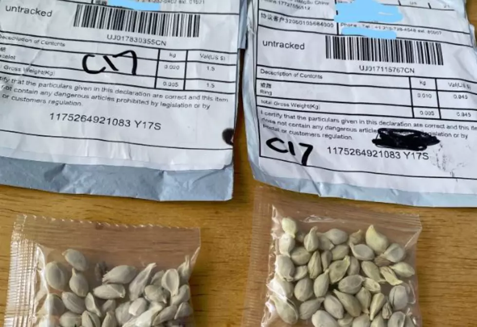 Public Asked To Report Unsolicited Packages of Seeds From China