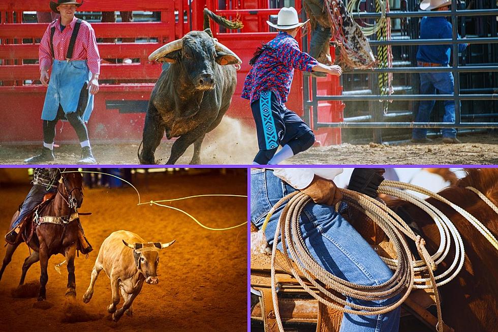 Here's Your Chance to Win Rodeo Tickets at The Four States Fair