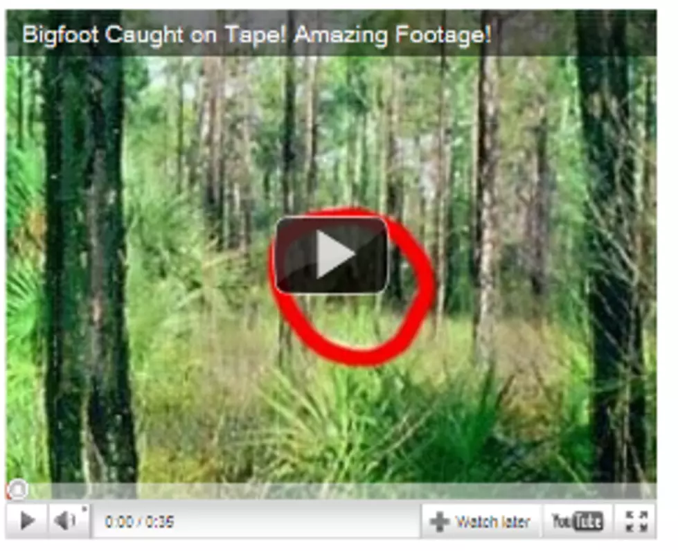 Big Foot Caught on Tape! [VIDEO]
