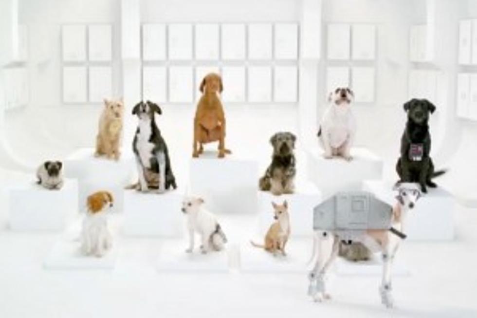 Volkswagen Reveals Super Sunday Ad, “The Bark Side”: [VIDEO]