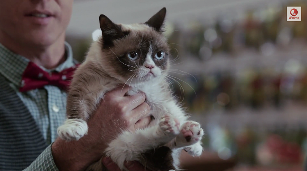 The Christmas Movie Every Grumpy Cat Lover Must See [VIDEO]