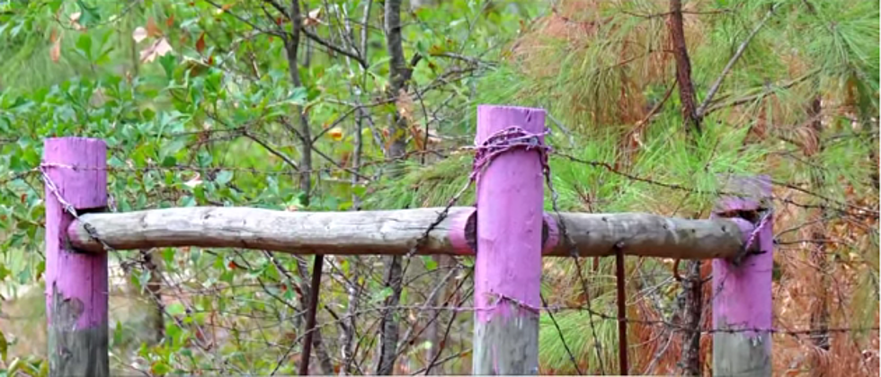 Leave If You See Purple Paint on Fence Posts
