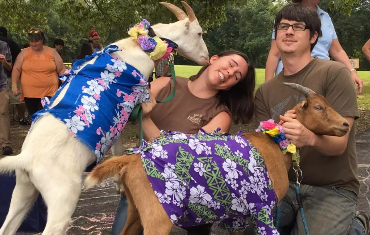 Arkansas Goat Festival Returns October 7