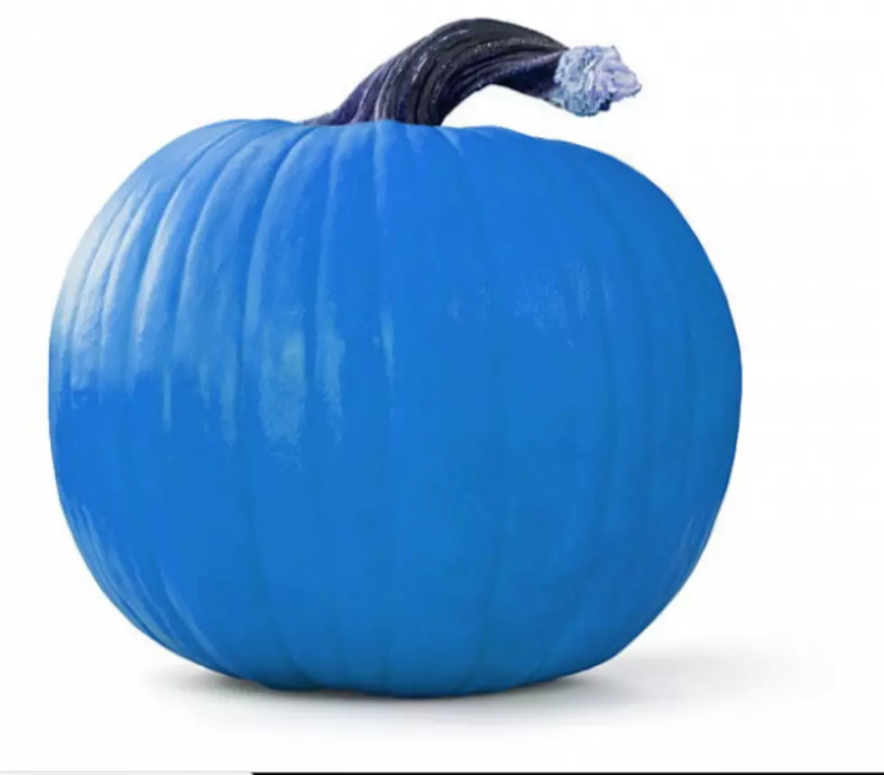 Do You Know What A Blue Pumpkin Means This Halloween?