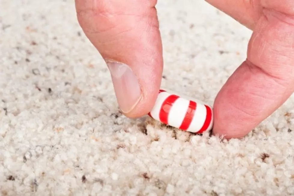 The Five Second Rule &#8211; Fact or Fiction? [POLL]