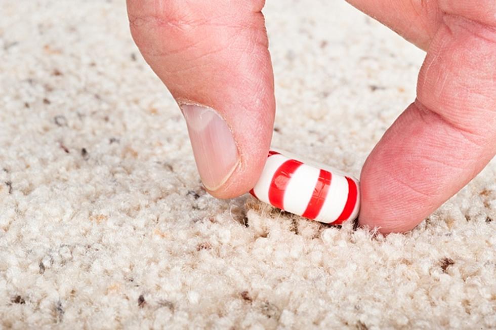 The Five Second Rule – Fact or Fiction? [POLL]