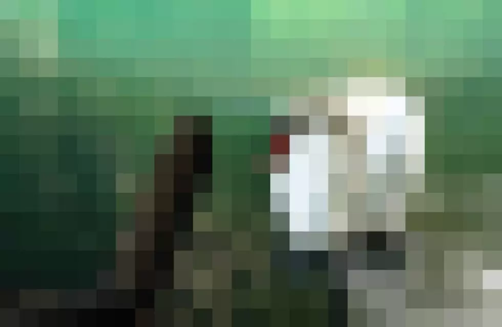 What Is This A Photo Of? – Patterson’s Pixels